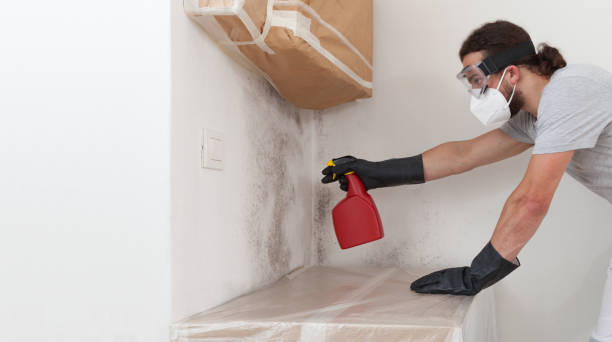 Professional Mold Cleanup technician working in Merrick, NY